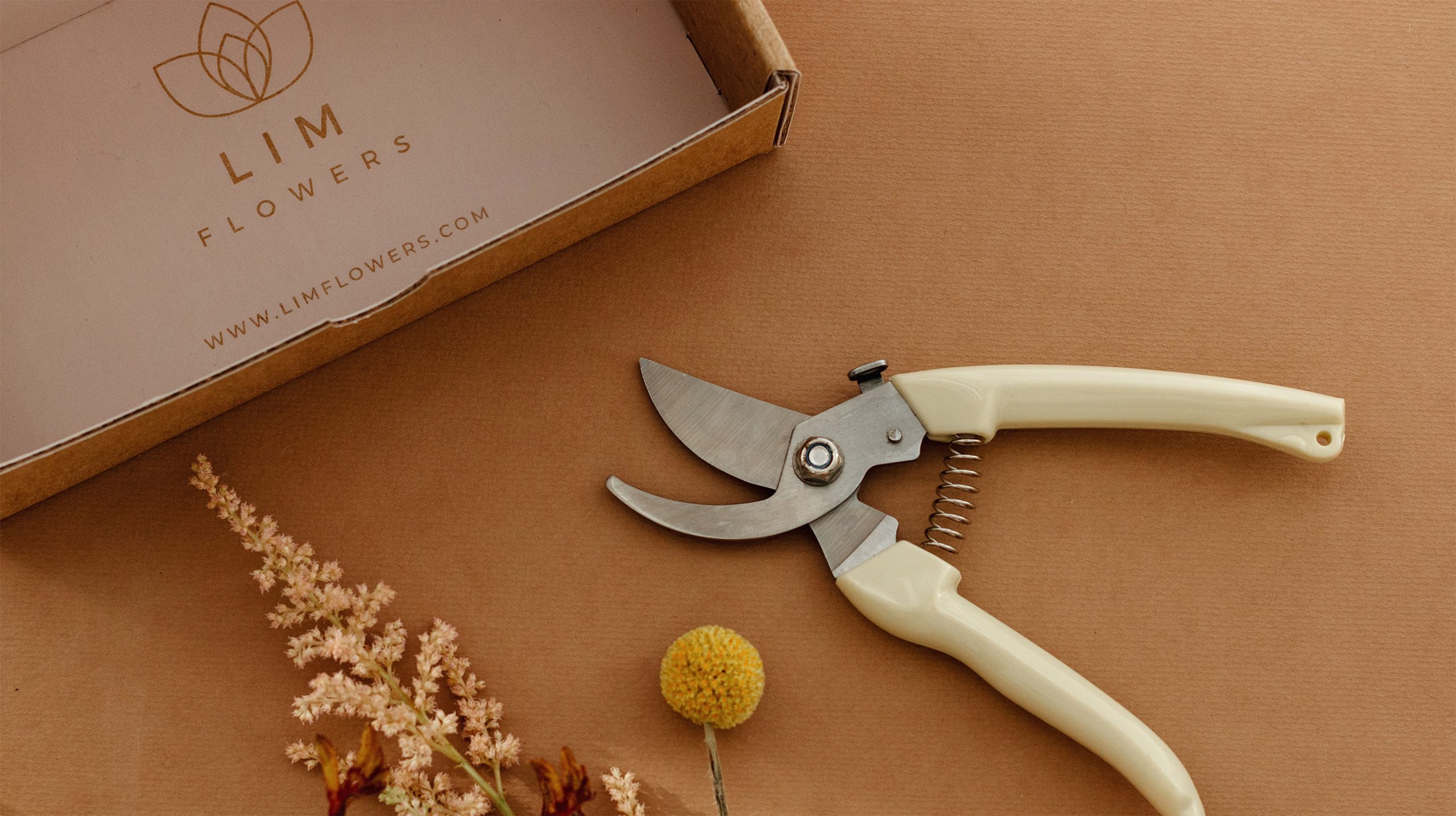 e910ab115251279.604a8f14a287e